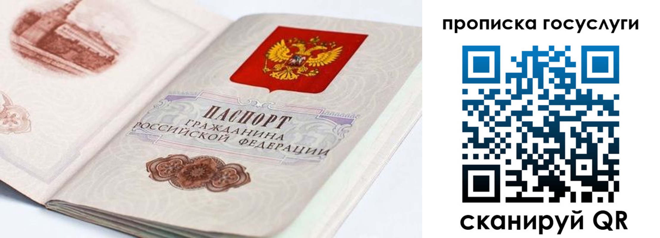 прописка регистрация в Ряжске